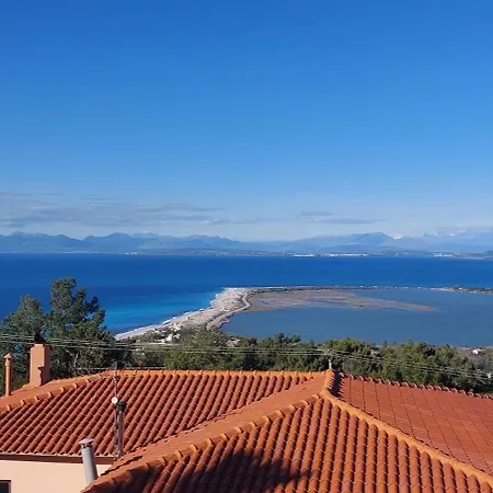 Semiramis 2* Φρύνι